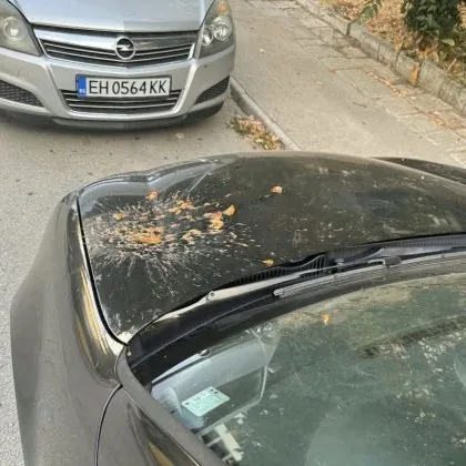&bdquo;Нахраниха" с домати паркиран автомобил в Плевен СНИМКА