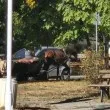 Каруца &bdquo;паркира" в Ловеч, раздели гражданите СНИМКА