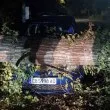 На косъм от трагедия в Бистрица: огромно дърво се стовари върху кола СНИМКИ