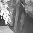 Неизвестен открадна покривалото на паркирана кола в Перник ВИДЕО