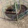 Цяло лято с грижа за градинката: Дядо даде добър пример