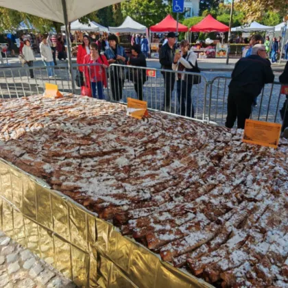 370-метров тиквеник събра малки и големи в центъра на Севлиево