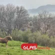 Студен фронт носи бури и ниски температури в страната