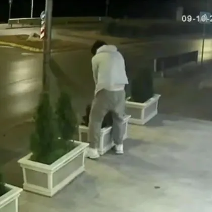 Дядо туя дърпа: Младеж се бори със зеленина в Бояна ВИДЕО
