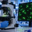 AI разпознава вируса на бяс с 99,6% точност в лабораторни тестове