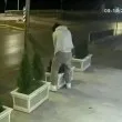 Дядо туя дърпа: Младеж се бори със зеленина в Бояна ВИДЕО