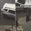 Кадри в мрежата показват агресия от охранители към мъж в Пловдив