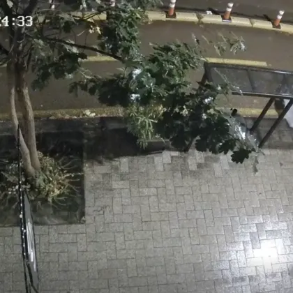 Нощен &bdquo;градинар" вилня във Варна, остави заведение без цветя ВИДЕО
