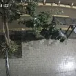 Нощен &bdquo;градинар" вилня във Варна, остави заведение без цветя ВИДЕО