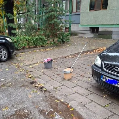 VIP решение: Кофи резервираха паркомясто в Пловдив СНИМКА