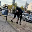 Човек с патерици изчисти след кучето ти. Ти защо не можеш? ВИДЕО