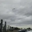 Стрелба с въздушна пушка край училище в София: шофьор показа щетите