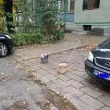 VIP решение: Кофи резервираха паркомясто в Пловдив СНИМКА