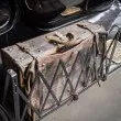 Находка на летището: Откриха 37 отровни змии и 55 гущера, натъпкани в куфара на пътник