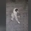 Обвиниха млад мъж за грозно посегателство в Асеновград СНИМКИ