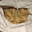 Разкриха нелегален цех за обработка на тютюн в Пловдив СНИМКИ
