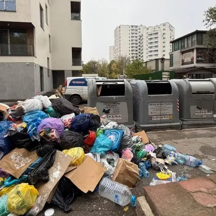 Порочен кръг от безотговорност, обвинения в &bdquo;селяния" и срив в почистването край Зимния дворец СНИМКА