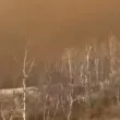Експлозията във военна база Уейнрайт: Поне 7 души са загинали, ранените са десетки