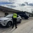 Масирана спецакция в Пазарджишко! СНИМКИ