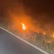Пожар между две села край Нова Загора, жена твърди, че е умишлен