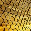 Пробив край руски самолет вдигна полицията на крак в Германия