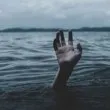 Спасиха 16 души от океана, някои са тежко ранени от акули