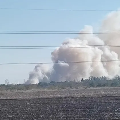 Пожар гори в Пловдивско СНИМКИ