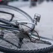 Кола отнесе велосипедист в Пловдив