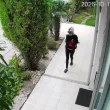 Орехите на раздора: Жена се оплака от неканени посетители в двора си