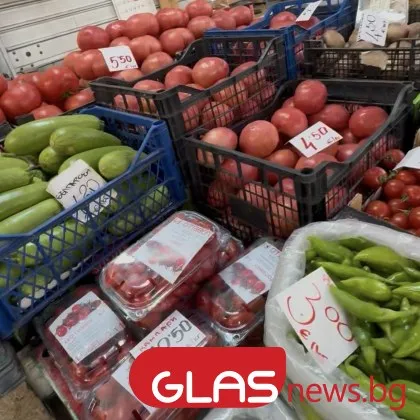 Защо българският домат стига до потребителя на цена до 7 евро за килограм? ВИДЕО