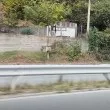Космат нарушител хукна срещу шофьори ВИДЕО