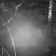 Сред нас ли са? Мъж твърди, че НЛО преминало през двора му ВИДЕО