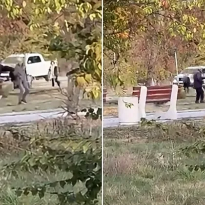 Опасност в курортното градче: Кучета налитат на минувачи до детска площадка в Баня ВИДЕО