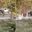 Опасност в курортното градче: Кучета налитат на минувачи до детска площадка в Баня ВИДЕО