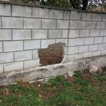 Малотен отмъква колата на баща си, вряза се в оградата на дом СНИМКИ