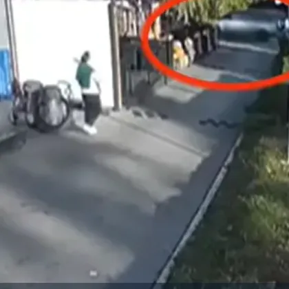 Прокуратурата с подробности за разстрела на Слави Бинев: Единият от тримата задържани е с официално обвинение