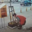 Вместо да се любува на цветята, жена ги изкорени и прибра в торба ВИДЕО