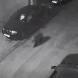 Мечка се появи на улица в наш град! ВИДЕО
