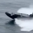 Kомпания за морска сигурност разпозна дрона, ударил контейнеровоза край Калиакра ВИДЕО