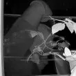 Крадец се покатери по фасада на кооперация в София, ето какво го отказа ВИДЕО