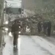 Огромно дърво блокира път, образува се тапа СНИМКИ