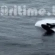 ВИДЕО показва атаката срещу потъналия контейнеровоз