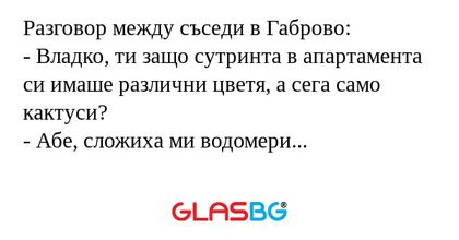 Разговор между съседи в Габрово...