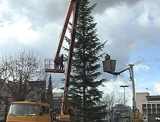 Вандали потрошиха елхата в Баните