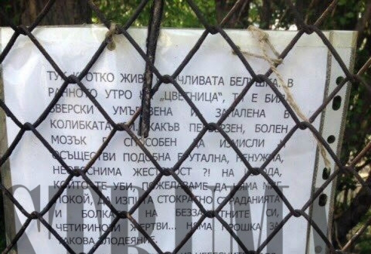 Трогателен некролог в памет на убитата по брутален начин Белушка разплака Благоевград (СНИМКИ)