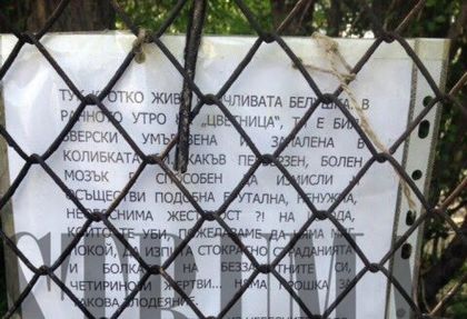 Трогателен некролог в памет на убитата по брутален начин Белушка разплака Благоевград (СНИМКИ)