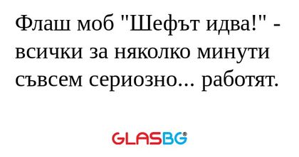 Флаш моб