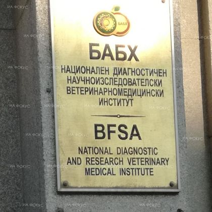 БАБХ извърши 198 проверки на пакетирани пресни и замразени плодове и зеленчуци в цялата страна