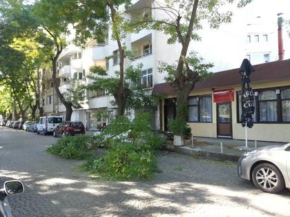 Клон се стовари на улица в Пловдив, едва не потроши кола (СНИМКИ)