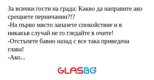 За всички гости на града: Какво...